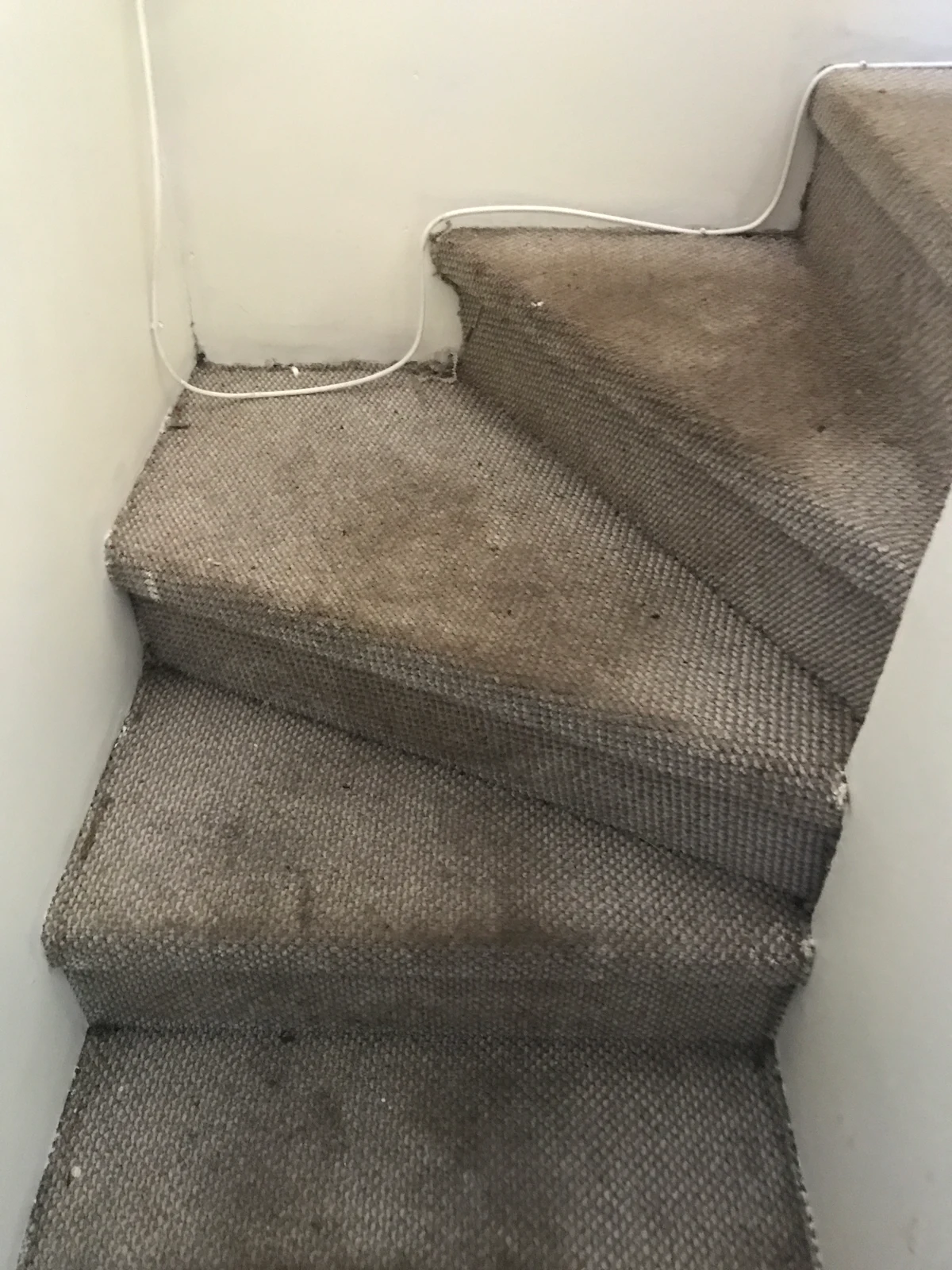 Lavado de escalera alfombrada: Antes