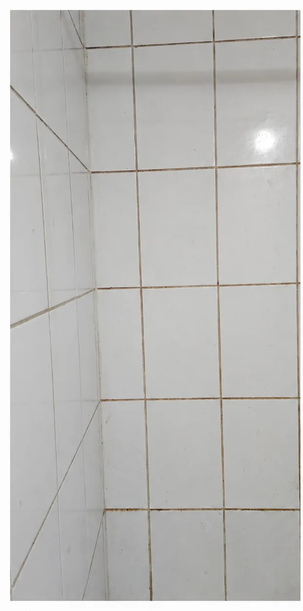 Cerámicas blancas de baño con juntas oscuras