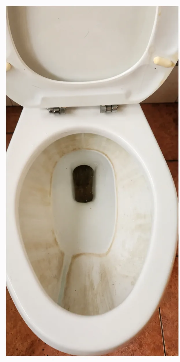 Interior de inodoro blanco con sarro amarillento