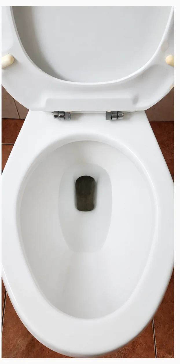El mismo inodoro blanco con el sarro menos visible
