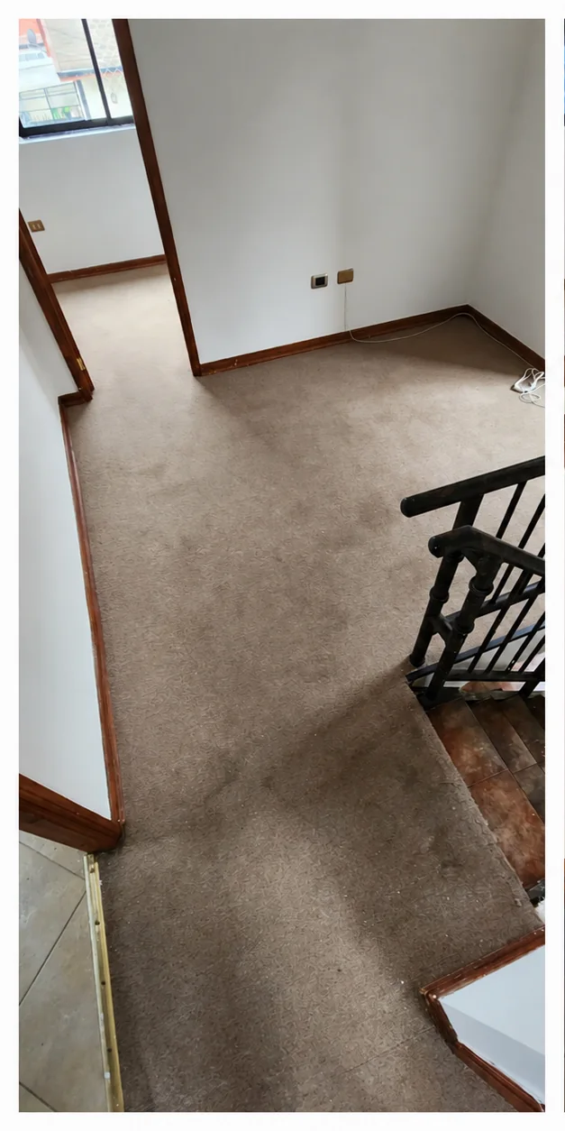 Alfombra beige del descanso de una escalera con manchas