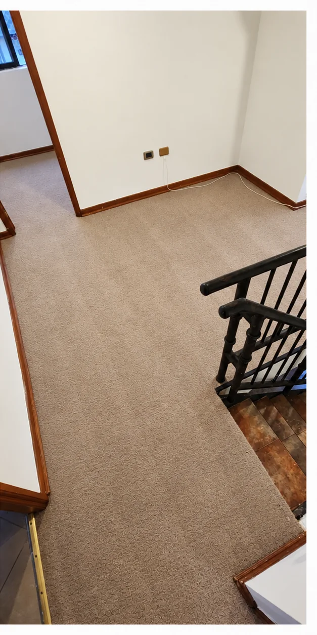 La misma alfombra beige con menos manchas visibles