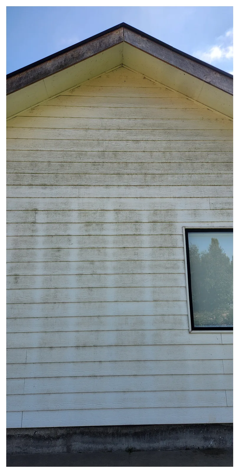 Fachada blanca de casa con manchas verdes y grises
