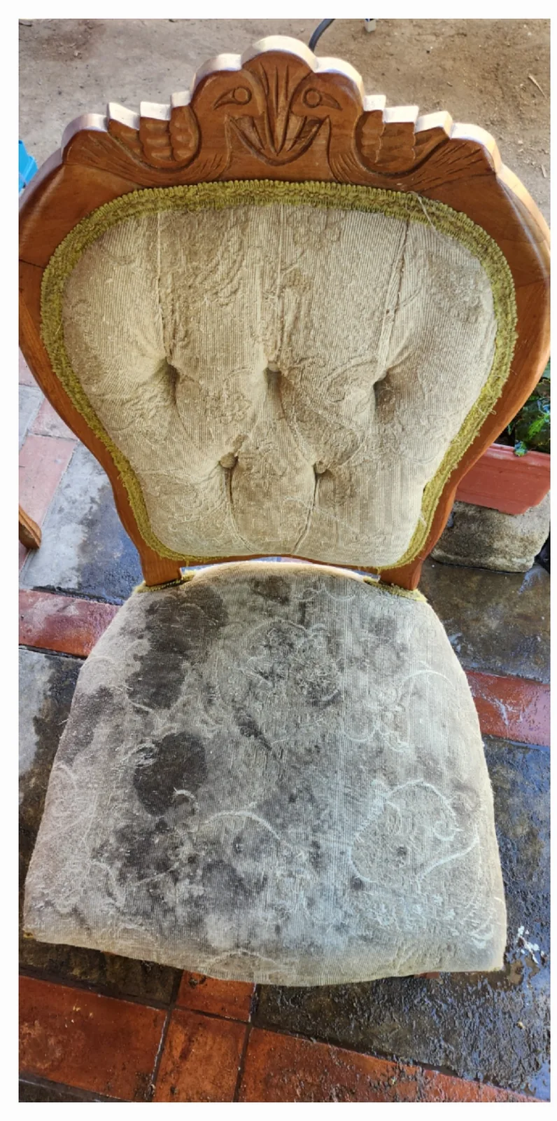 Silla tapizada clara con manchas oscuras en el asiento
